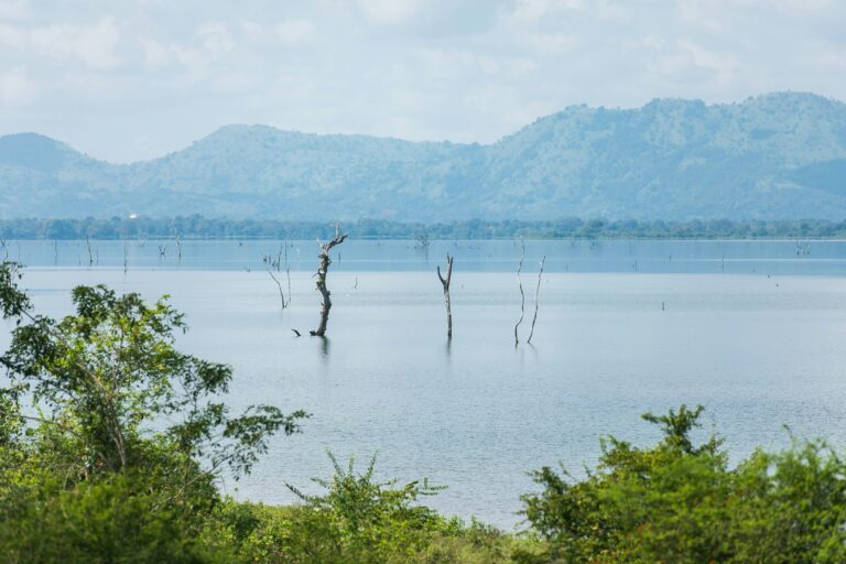 Udawalawe